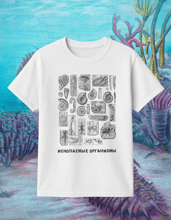 Iskopaemie print t-shirt