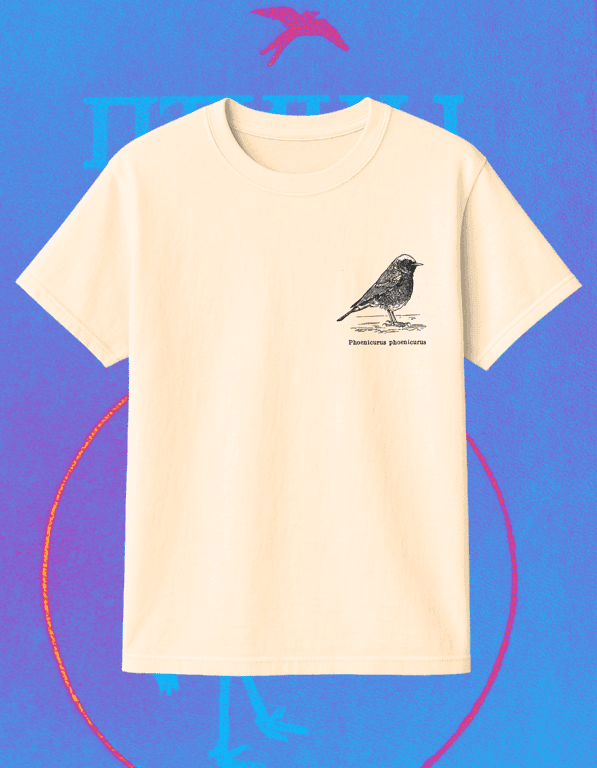 Phoenicurus Phoenicurus print t-shirt