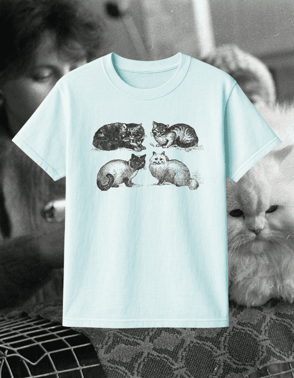 Kitties print t-shirt