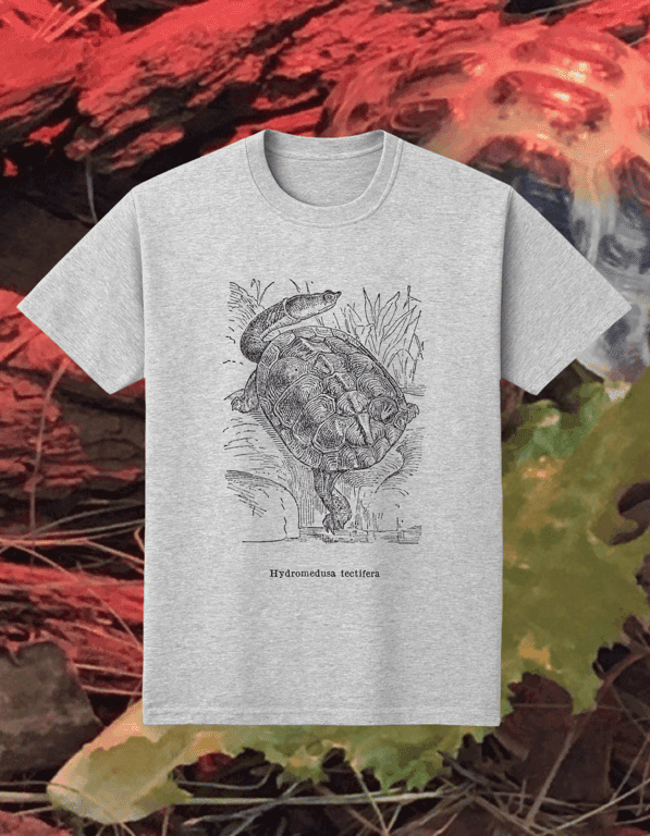 Hydromeduza print t-shirt