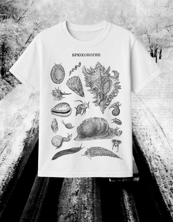 Bryukhonogie print t-shirt