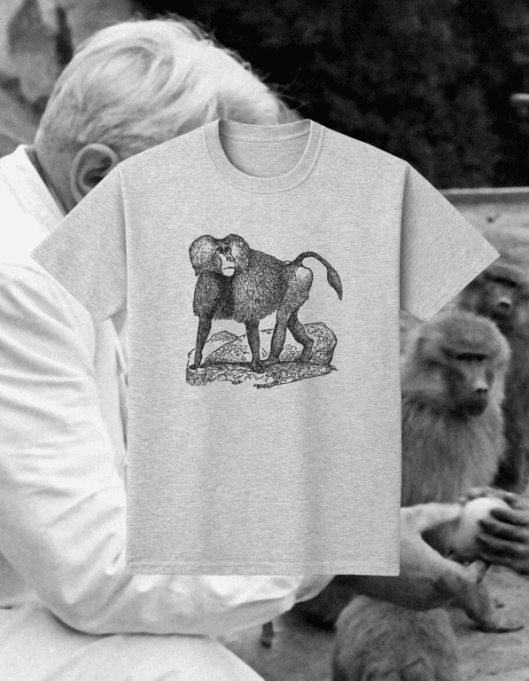 Gamadril print t-shirt