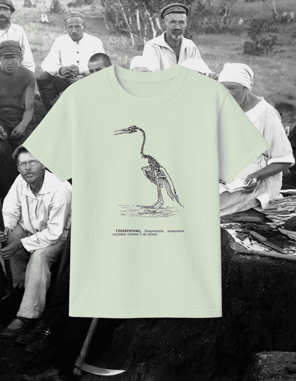 Hesperonis print t-shirt