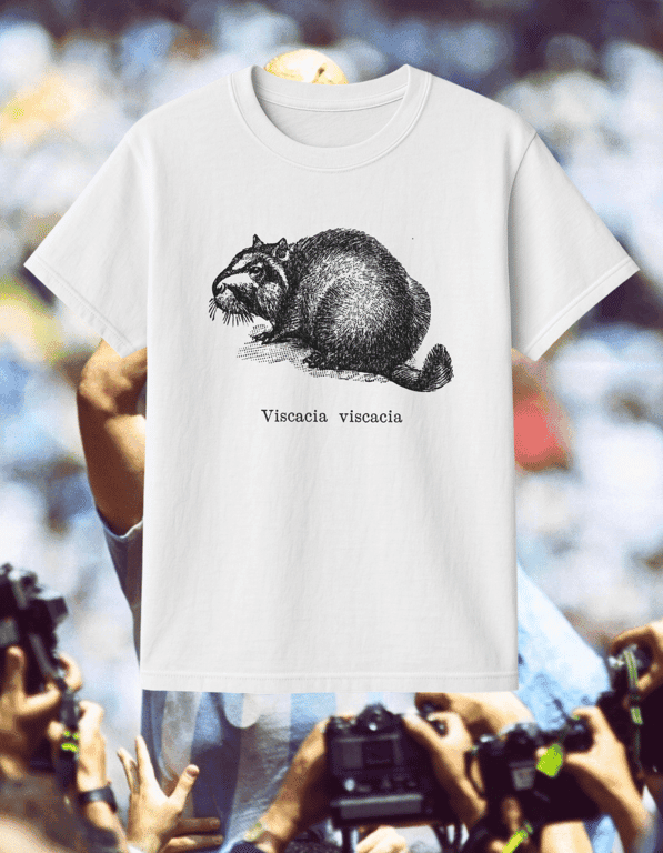 Viscacia print t-shirt