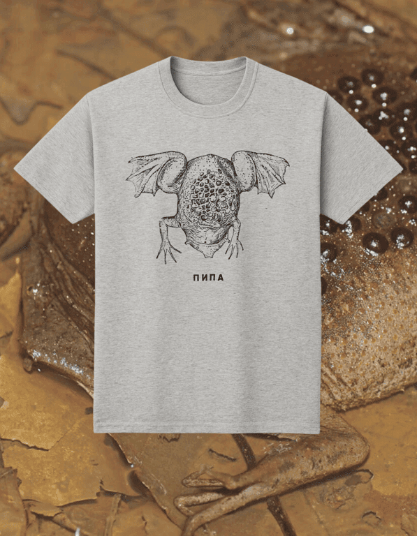 Pipa print t-shirt