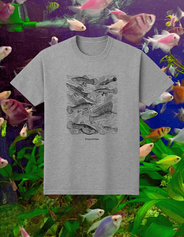 Poeciliidae print t-shirt